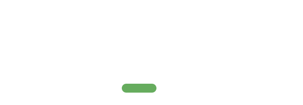 visa-evisa Logo